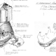 Image for article titled Someone Actually Made Plans to Send Pigs to Space